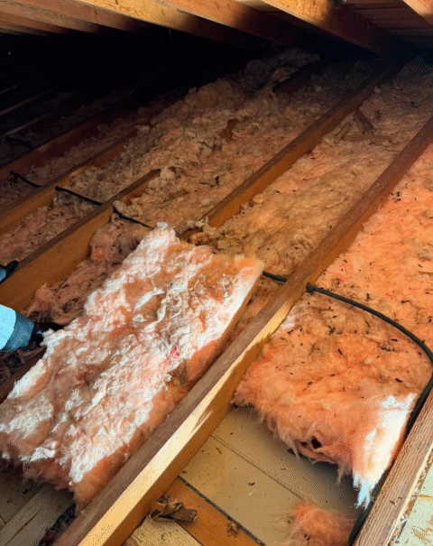 Attic Cleaning and Sanitization